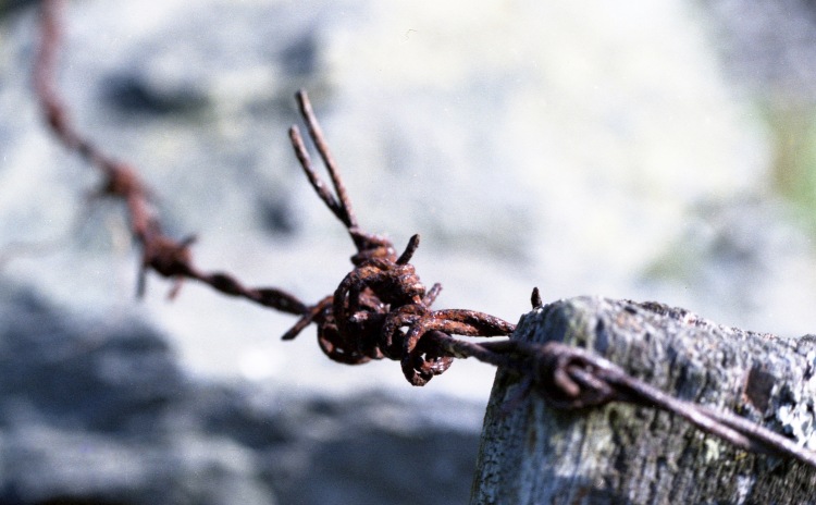 Barbed wire on post 1