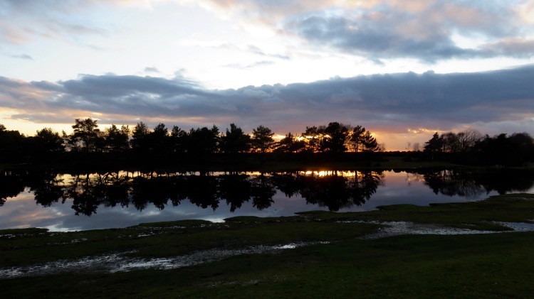 Hatchet Pond sunset 2