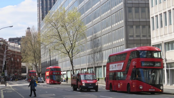 Plane Trees and buses