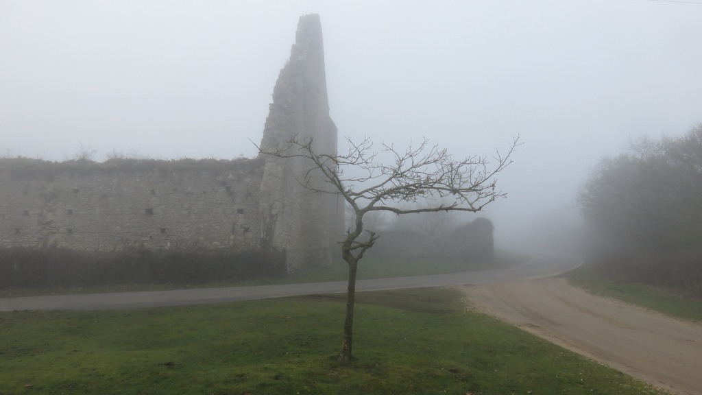 Tree and St Leonard's Grange in fog