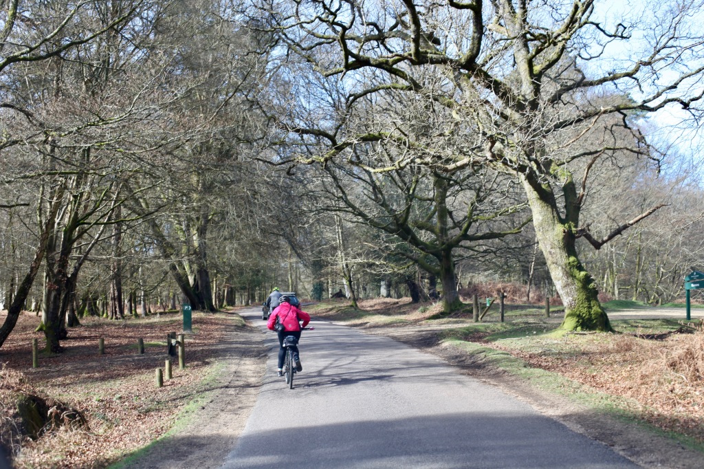Cyclists on Rhinefield Ornamental Drive 1