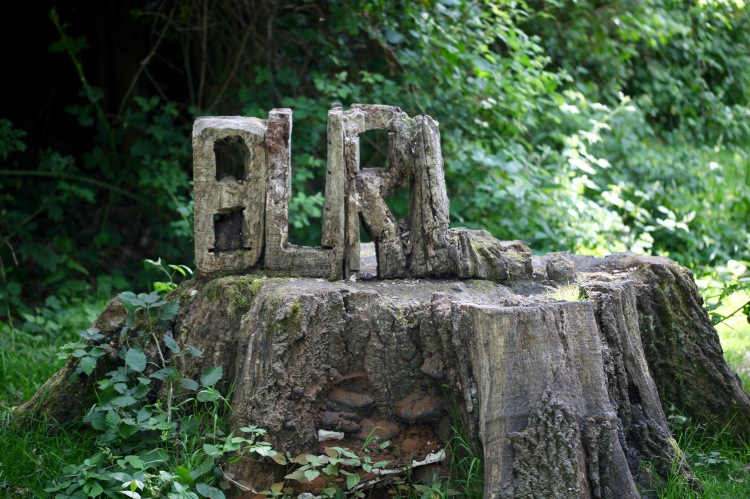 Burley stump