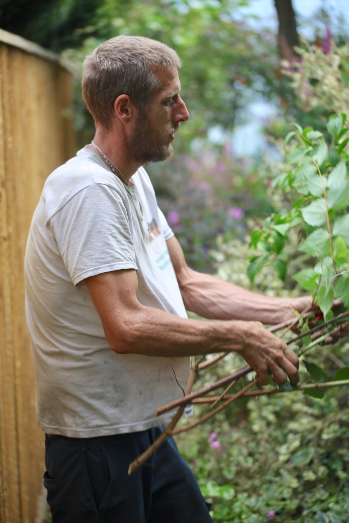 Aaron pruning philadelphus 2