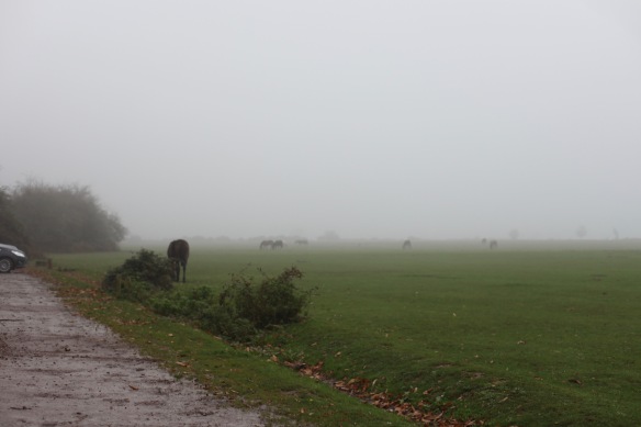 Ponies in mist 1