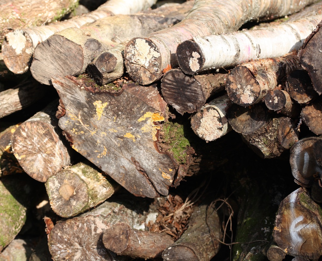 Log stack 4
