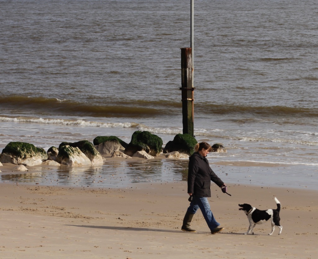Woman and dog on beach