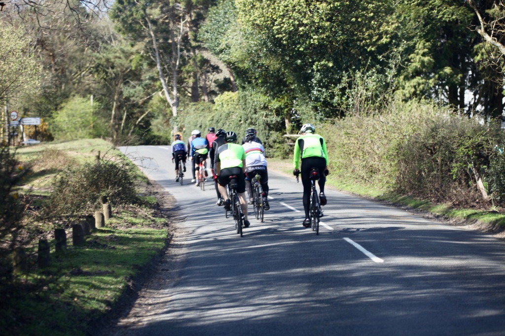 Cyclists on road