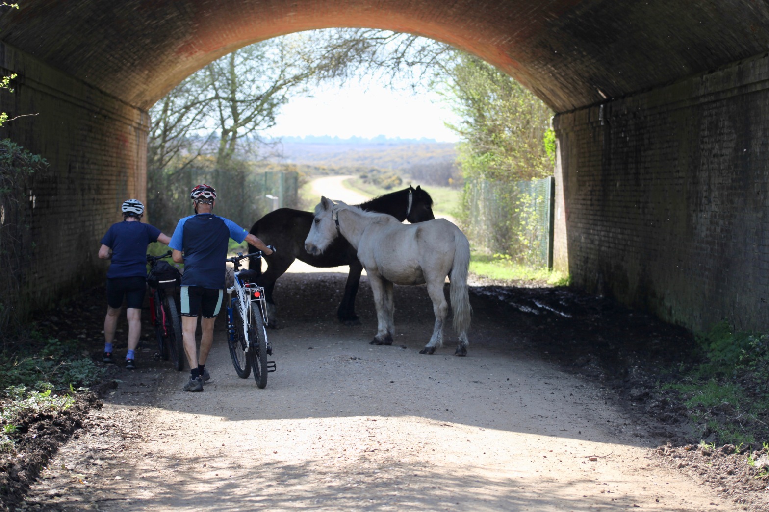 Cyclists skirting ponies under bridge