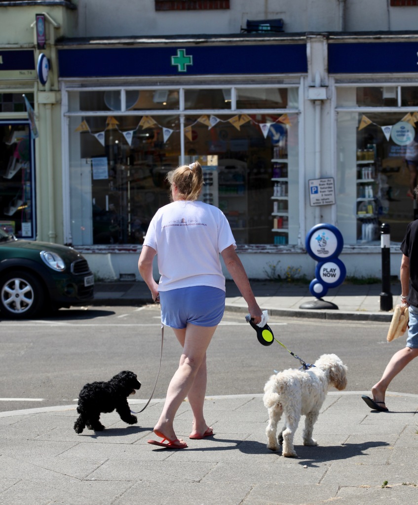 Woman walking dogs