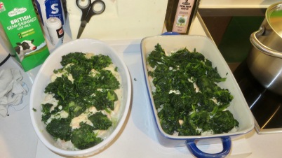 Spinach layer